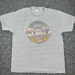 Harley Davidson T Shirt Men’s Large Sandusky Ohio Gray Biker Motorcycle